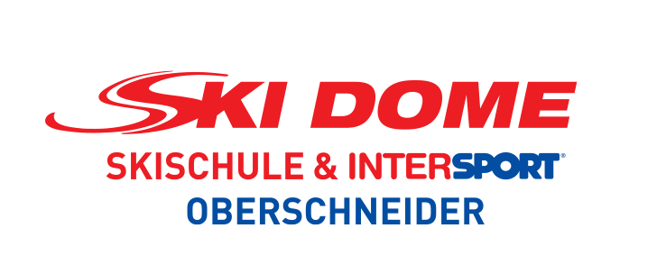 skidome manual logo